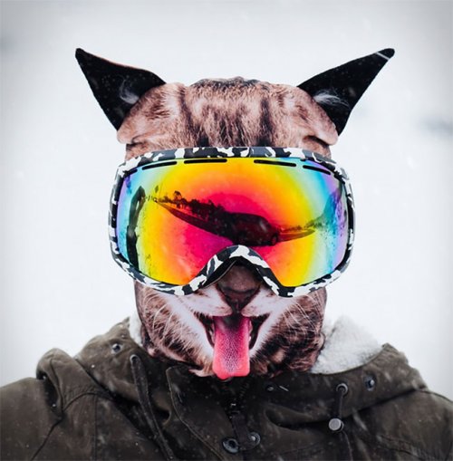 Реалистичные "звериные" лыжные маски от Beardo (8 фото)