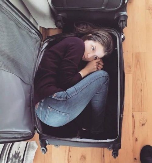 Анна Кендрик в чемодане и фотожабы на неё (19 фото)