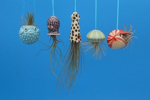 Креативные цветочные горшки, в которых растения похожи на морских обитателей (12 фото)