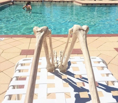 Встречайте Скелли: скелет, который подражает каждой девушке в Instagram (18 фото)