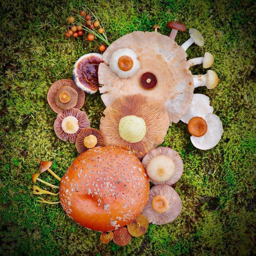 Мир фантазии Саары Алхопуро, созданный из диких грибов (22 фото) .