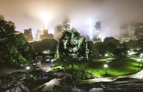 Портреты людей в Центральном парке Нью-Йорка, созданные с помощью проекции (10 фото)