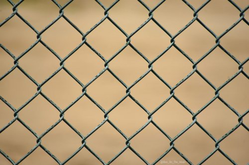 Уникальный природный узор на проволочном заборе (7 фото)