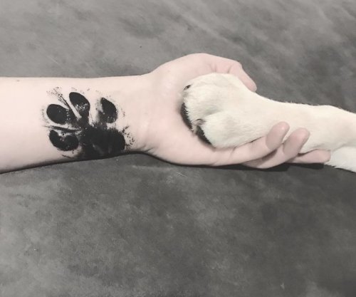 Тату отпечатков лап собак как символ любви и крепкой связи (19 фото)