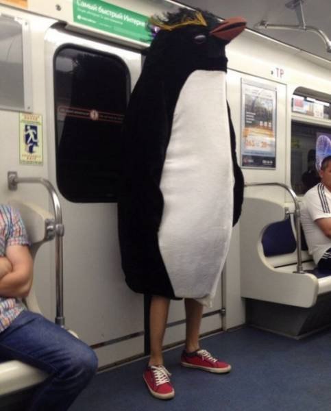 Странные и необычные пассажиры в метро (15 фото)