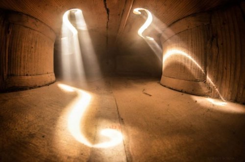 Виолончель изнутри в захватывающих фотографиях Адриана Борды (8 фото)