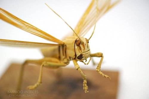 Реалистично выглядящие насекомые из бамбука от Нориюки Саито (15 фото)