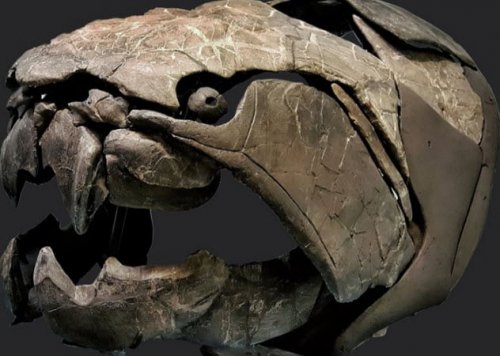 ТОП-10: Самые интересные факты про древних монстров - дунклеостеев