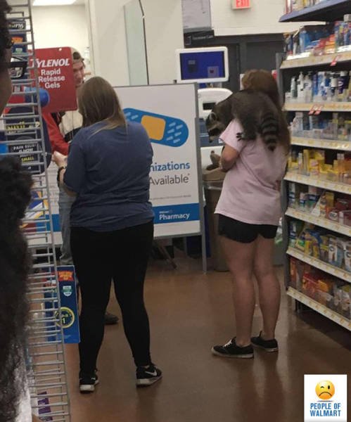 Чудаки и чудачества в Walmart (33 фото)