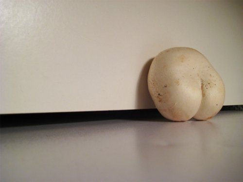 Сделано природой: грибы, которые похожи совсем не на грибы (18 фото)