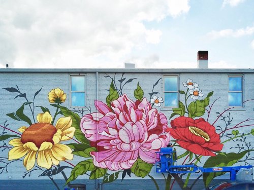 Художница превращает улицы городов в красочные цветочные сады (10 фото)