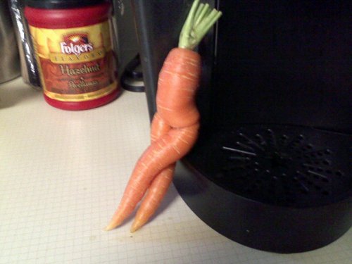 Морковка тоже может быть соблазнительной, и после просмотра этой фотоколлекции вы в этом убедитесь (20 фото)