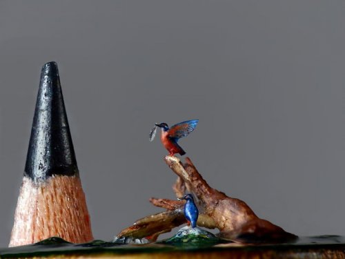 Художница вырезает крошечных реалистичных птиц, которые меньше кончика карандаша (20 фото)">