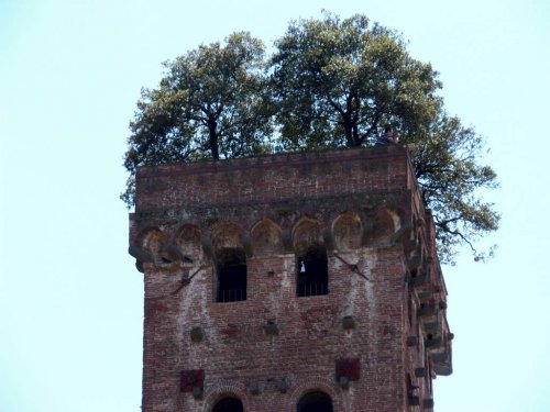 Торре Гуиниджи: башня, на вершине которой растут дубы (16 фото)">