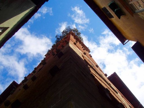 Торре Гуиниджи: башня, на вершине которой растут дубы (16 фото)">