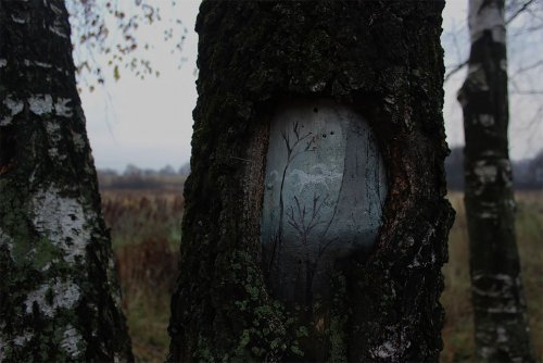 Картины Евгении Дудниковой на стволах деревьев, дополняющие пейзаж (7 фото)