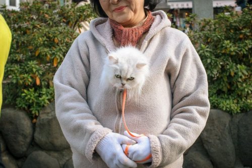 Причудливые и необычные моменты из жизни японцев в фотографиях Сина Ногути (31 фото)">