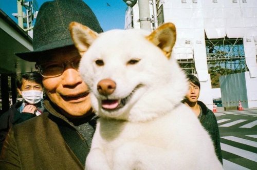 Причудливые и необычные моменты из жизни японцев в фотографиях Сина Ногути (31 фото)">
