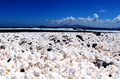 Пляж на испанском острове Фуэртевентура, на который нужно приходить со своим кинотеатром (6 фото)