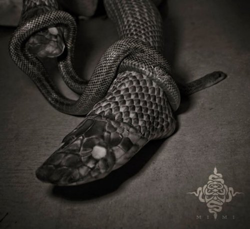 Чулки с реалистичным принтом змеиной кожи (6 фото)
