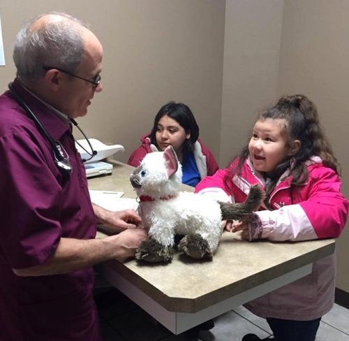 В ветеринарной клинике маленькой девочке помогли вылечить ее любимую плюшевую кошку-игрушку (10 фото)