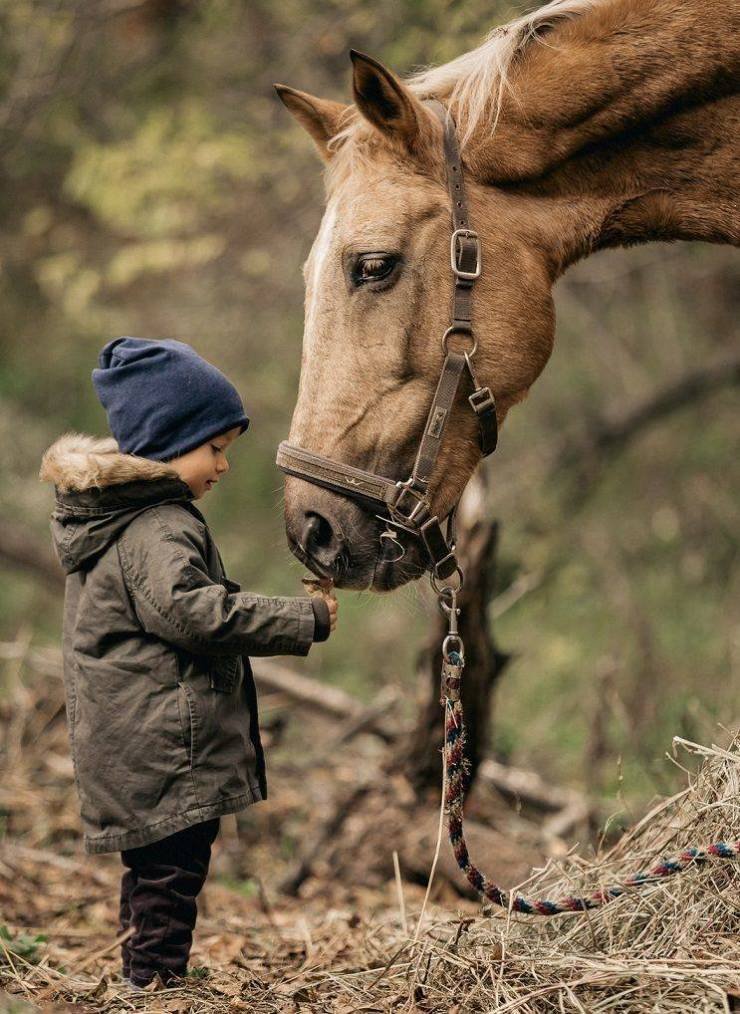 Фото с лошадьми дети