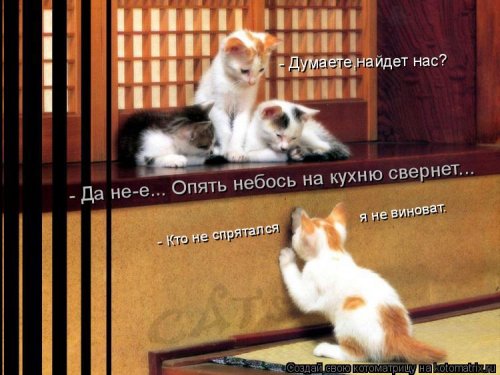 В сети опубликовали свежую котоматрицу для всех (фото)