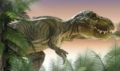 ТОП-10: Восхитительные подробности из повседневной жизни динозавров