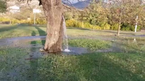 Необычное дерево-фонтан в Черногории (фото + видео)
