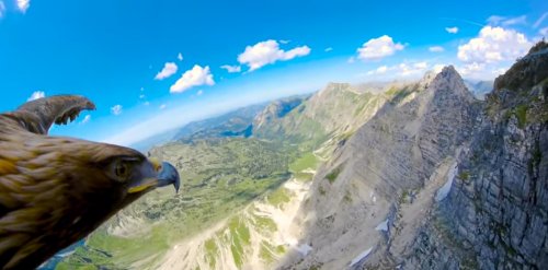 Глазами орла: захватывающее дух видео 4K полёта над Альпами