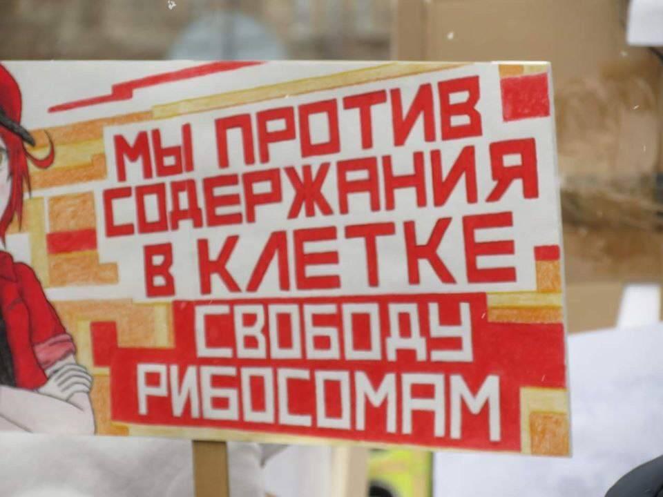 Смех и радость мы приносим людям