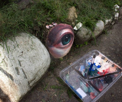 Художница собирает камни, рисует на них глаза и возвращает обратно в природу (10 фото)