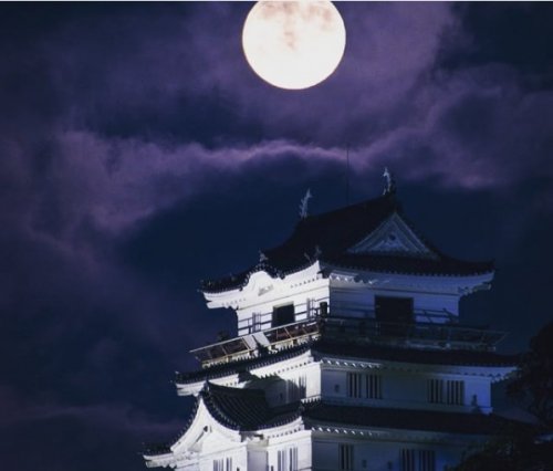 Впервые можно переночевать в японском замке (5 фото)