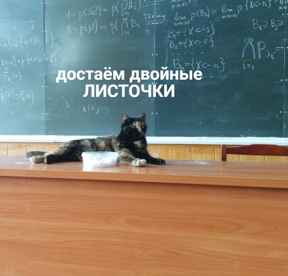 Кот преподает