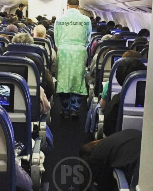 Прикольные фотки наглых пассажиров самолетом