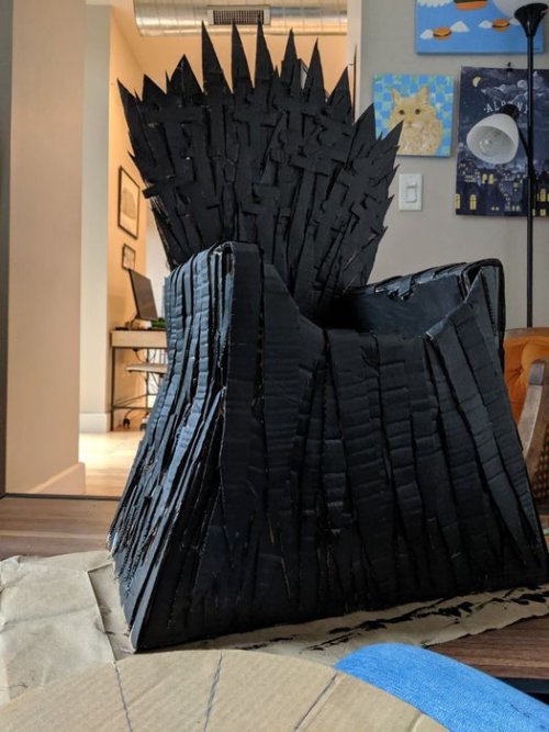 Американець зробив для свого кота "Залізний трон"