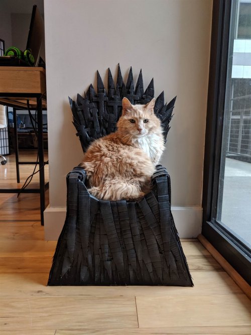 Американец сделал для своего кота «Железный трон»