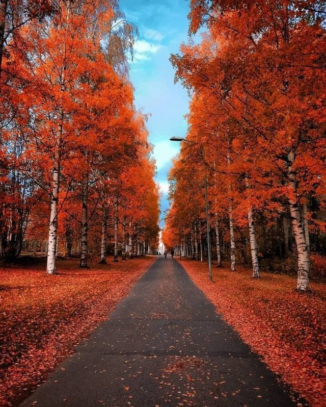 Время Года Осень Фото