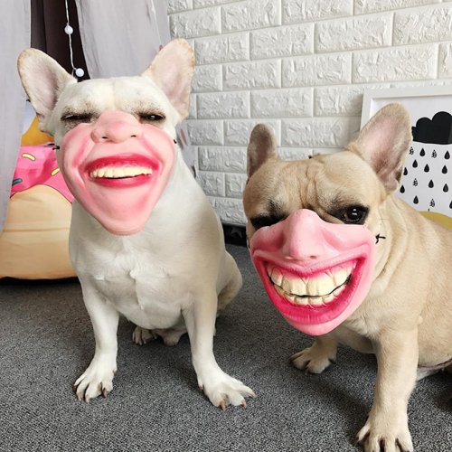 Самые страшные (или всё-таки смешные?) собачьи маски на Хэллоуин (11 фото)