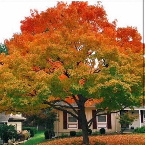 Осень — самое красочное время года (22 фото)