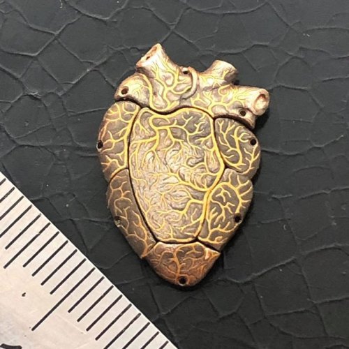 Монета с бьющимся сердцем (4 фото + видео)