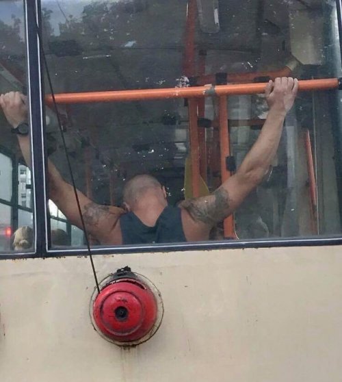 В троллейбусах тоже ездят забавные и необычные пассажиры (25 фото)