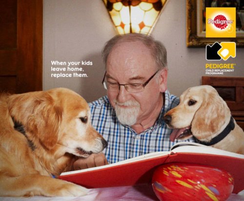 Рекламная кампания показывает, как собака может изменить вашу жизнь (22 фото)