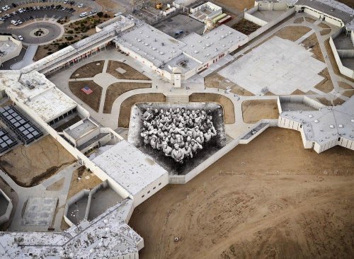 Мурал на крыше тюрьмы в Калифорнии (7 фото)