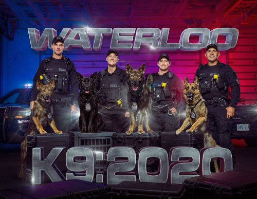 Календарь с канадскими полицейскими собаками на 2020 год (13 фото)
