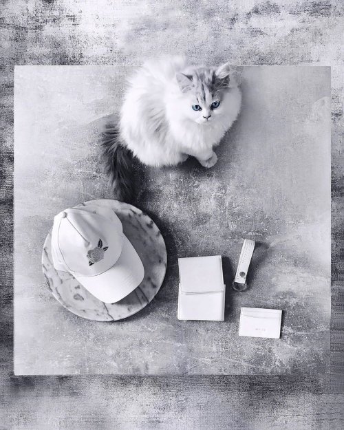 Бренд BLVCK PARIS решил окрасить привычные вещи в белый цвет (25 фото)