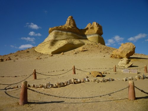 Долина китов в Египте - важный палеонтологический объект (9 фото)