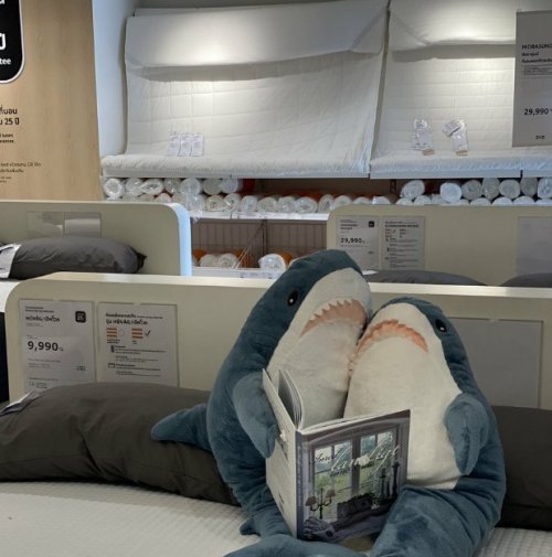 Люди переставляют плюшевых акул в магазинах IKEA, чтобы сделать их жизнь "на полке" более интересной (22 фото)