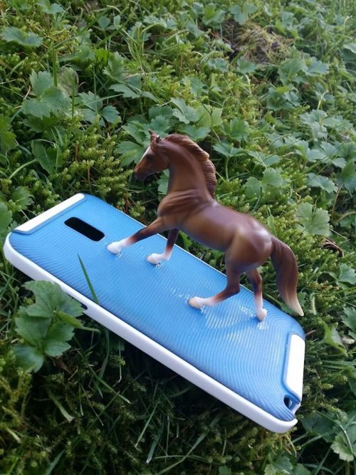 Девушка неудачно приклеила держатель к своему смартфону, и теперь все фотографии, которые она делает, ─ это фотобомбы с участием лошадки (17 фото)