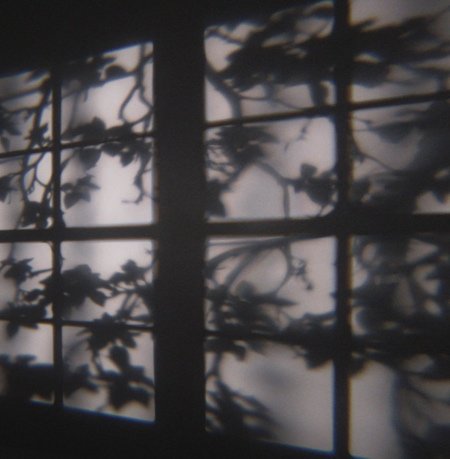 Проектор, имитирующий свет, пробивающийся через окно (6 фото)
